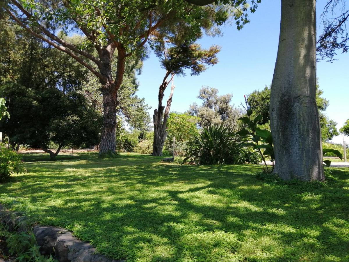 Saja Country House Acireale Εξωτερικό φωτογραφία